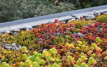 the cost of Sandsound green roof installation