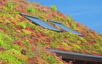 Sandsound living roof systems