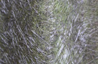 Sandsound fibreglass roof work